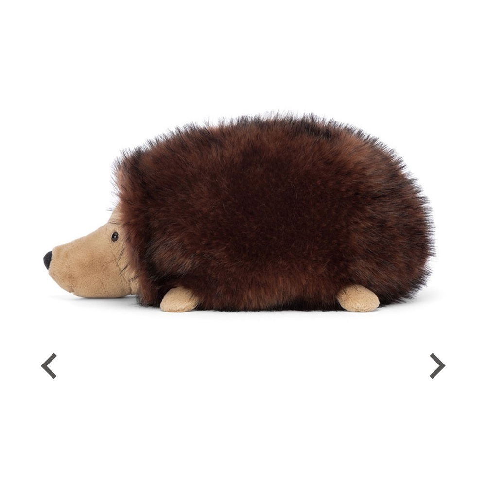Jellycat Hamish Furry Hedgehog Plush 🦔 - Picture 2 of 7